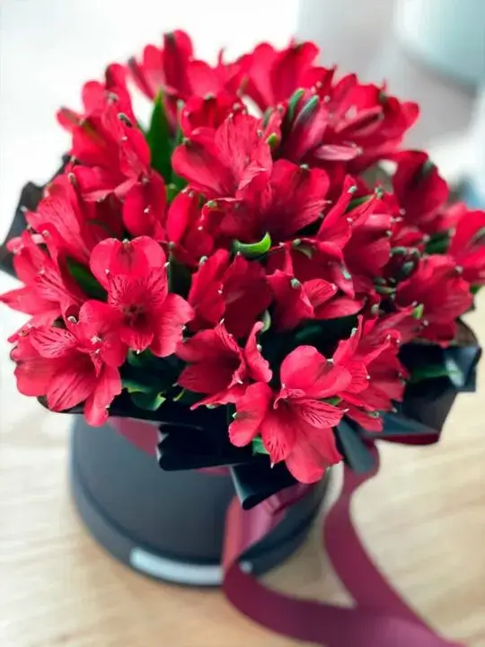 Бордовые альстромерии в коробке