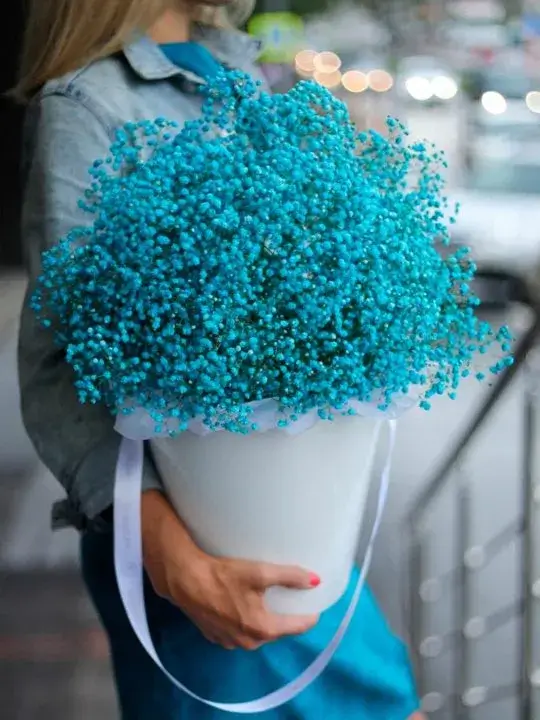 Композиция Эвелина