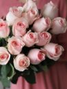 розовые розы 15 штук