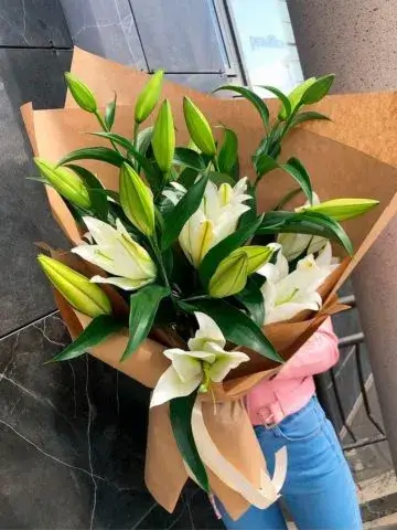 1️⃣ Купить лилии в Алматы с доставкой | Цветы от Pro-Buket