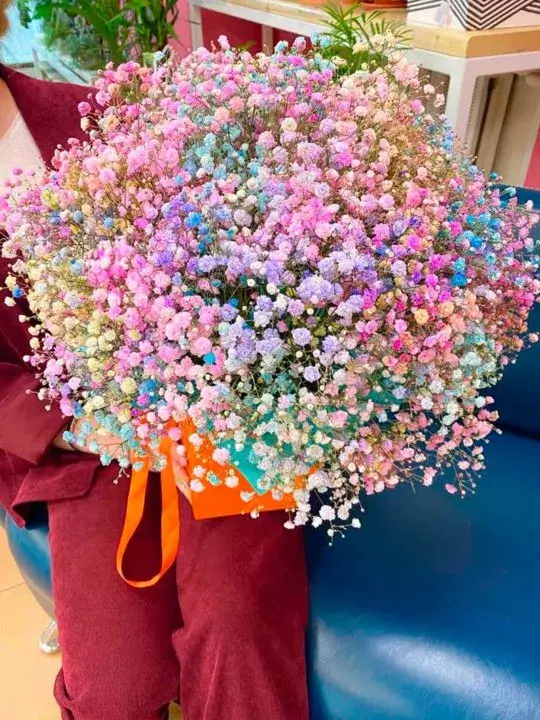 Букет 7 цветов радуги