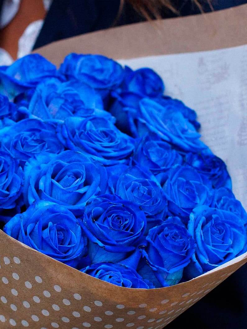 синие розы 17 шт