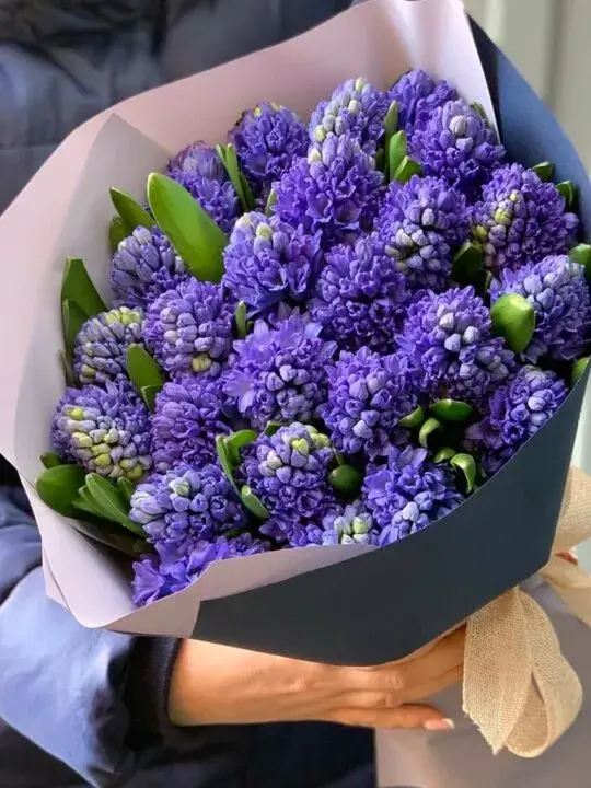 Букет из синих гиацинтов