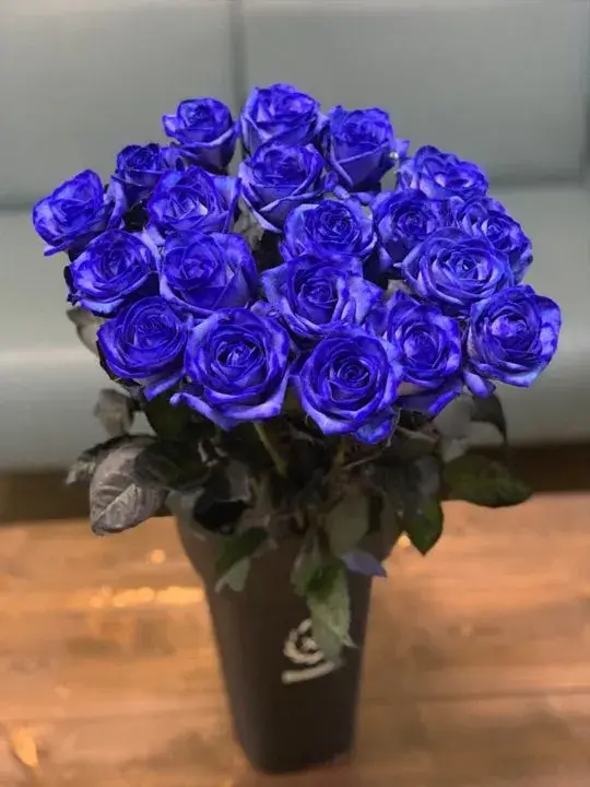 Букет из 19 синих роз