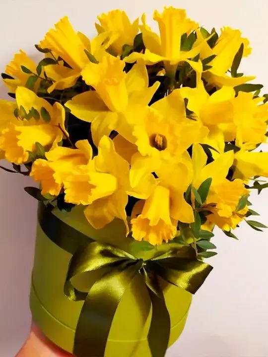 Желтые нарциссы в шляпной коробке