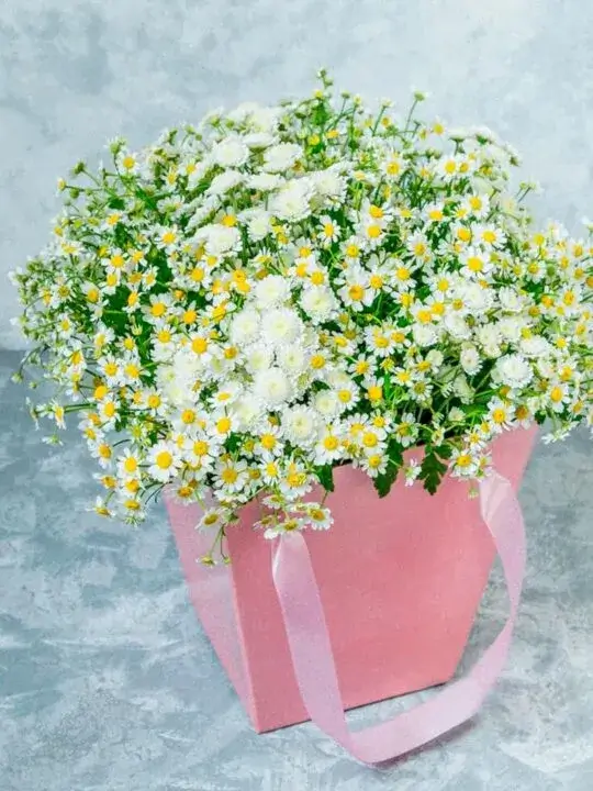 Композиция из полевых ромашек