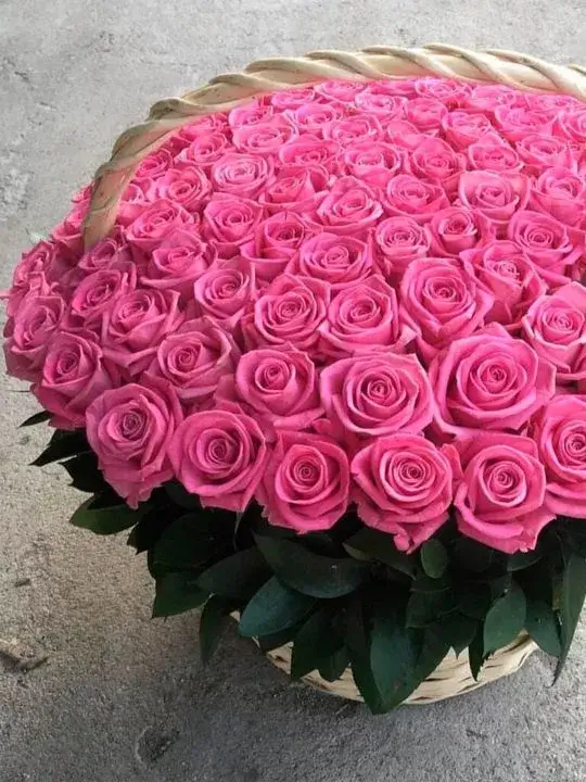 Композиция Элина