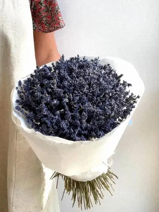 Лаванда сушеная