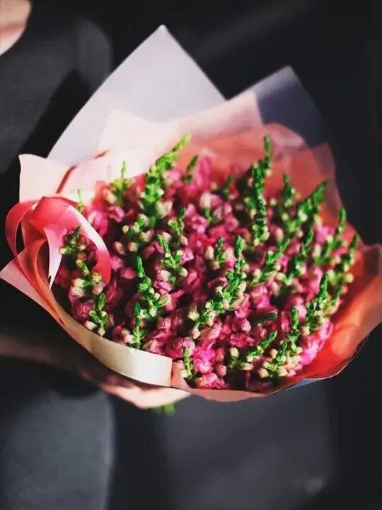 Букет из розовых маттиол