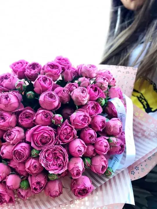 Букет Аэлита