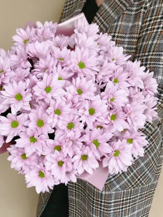 Букет из розовых хризантем