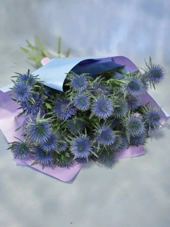 Букет Свежий ветер