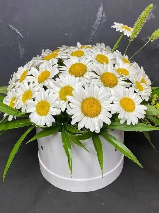 Композиция Анна