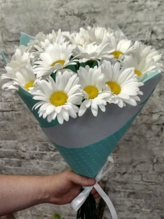 Букет из 15 ромашек