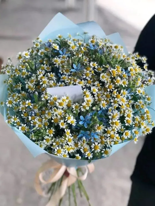 Букет Полёт мотылька