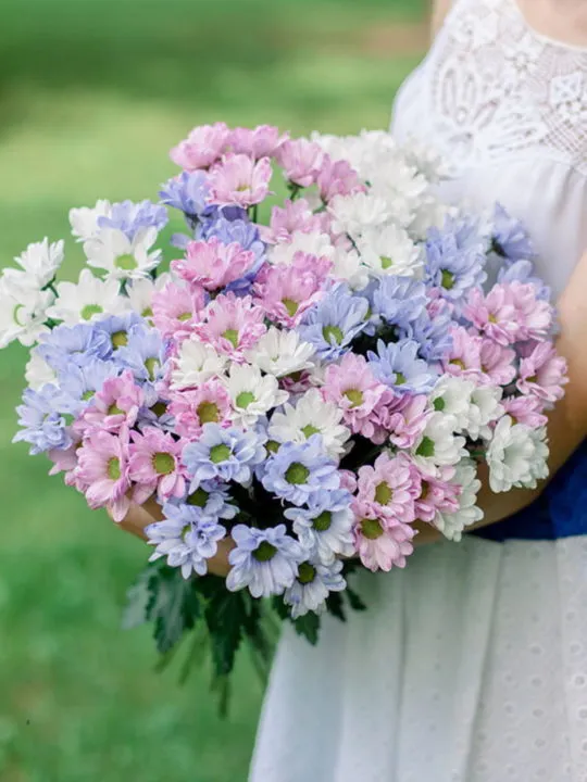 Букет Миледи