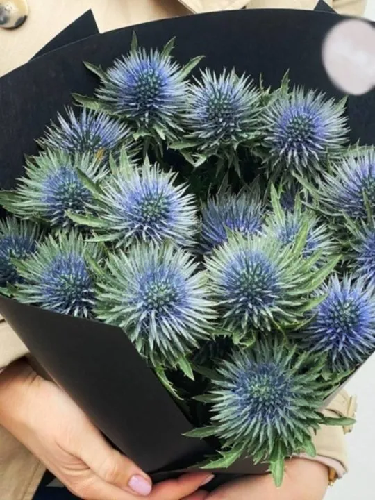 Букет Морской царь