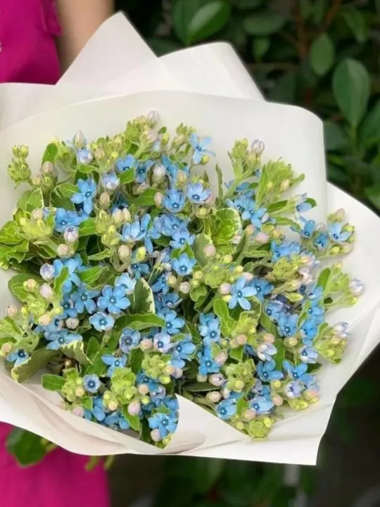 Букет Голубая лагуна