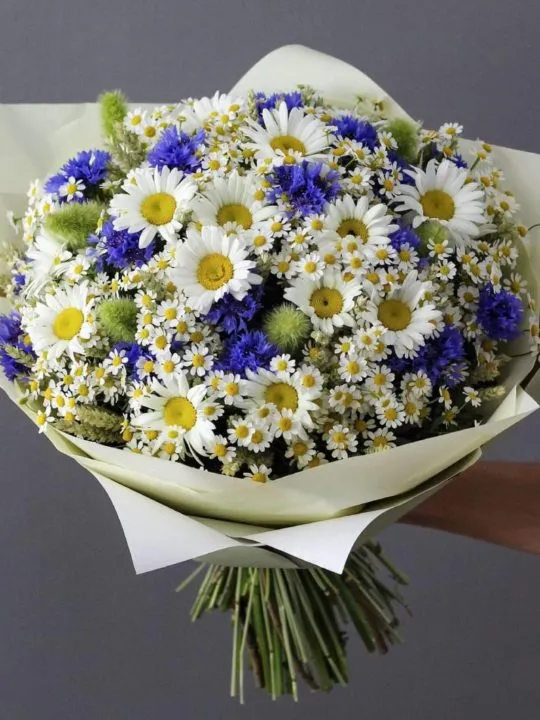 Букет Бабочки в животе