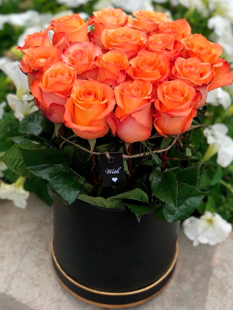 25 оранжевых роз в коробке