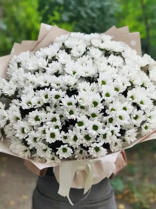 Большой букет хризантем