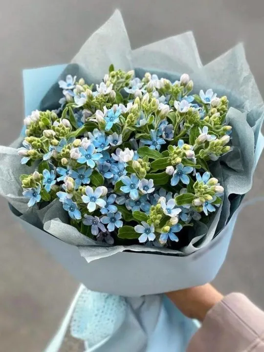 Букет Узор волны