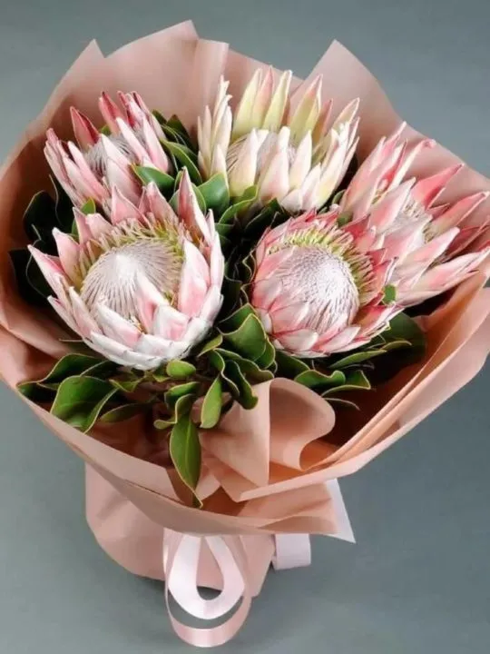 Букет Импульс