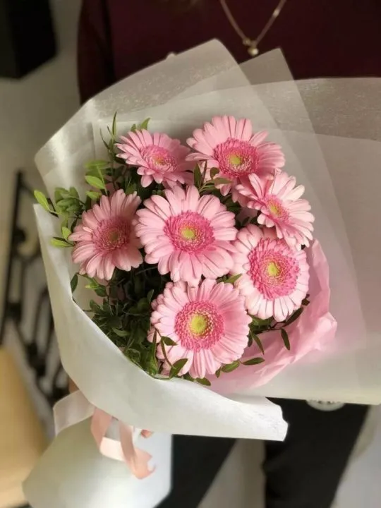 Букет из 7 гербер