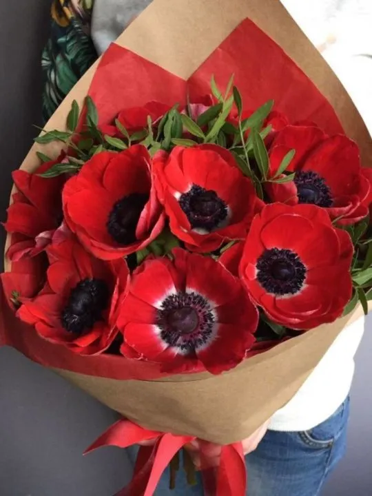 Красные анемоны