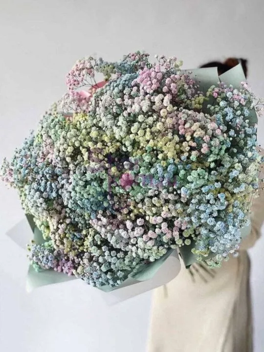 Букет из 35 разноцветных гипсофил