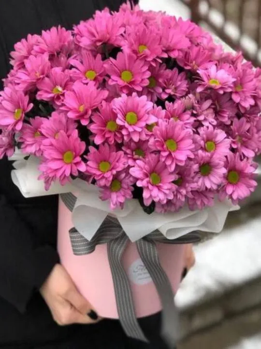 Композиция Яркий сон