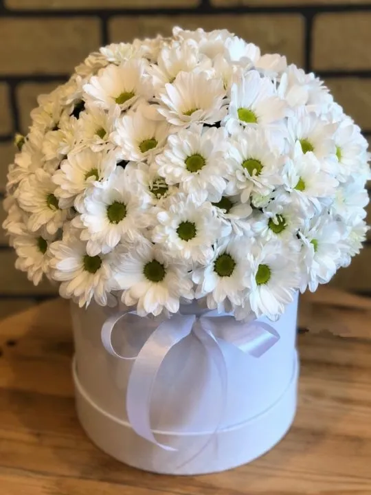 Композиция Верность