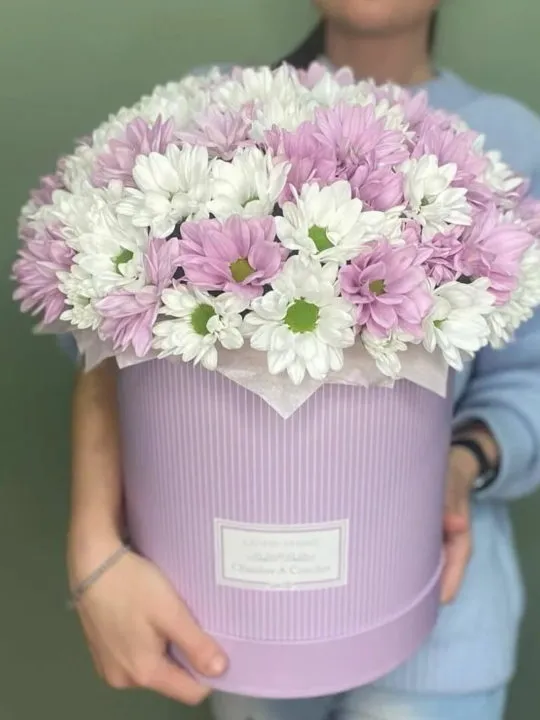 Композиция Динара