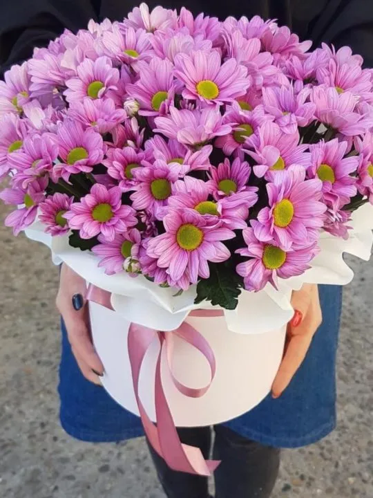 Композиция Жамал