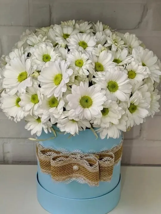 Композиция Куаныш