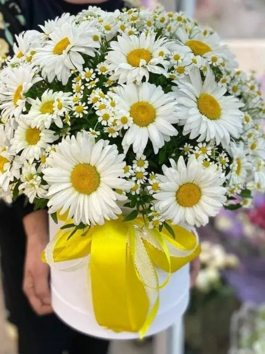 Композиция Лилия