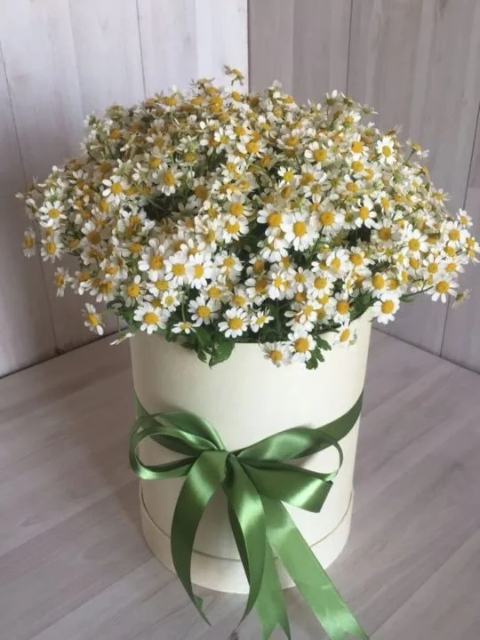 Композиция Людмила