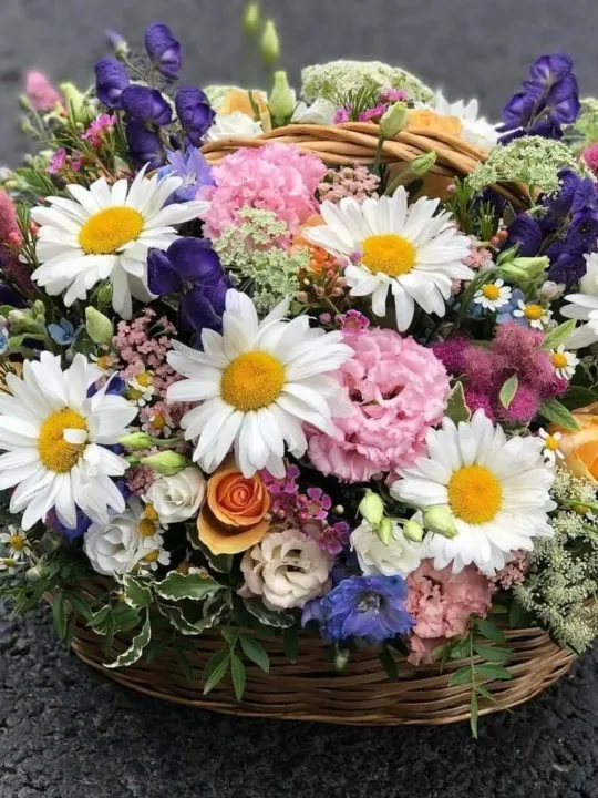 Композиция Маргарет