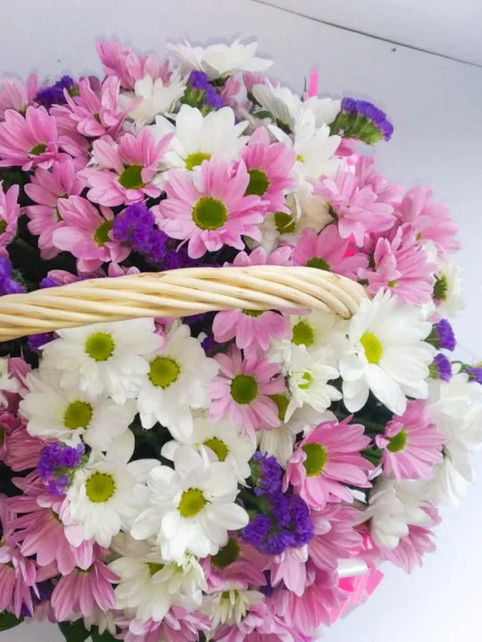 Композиция Рабига