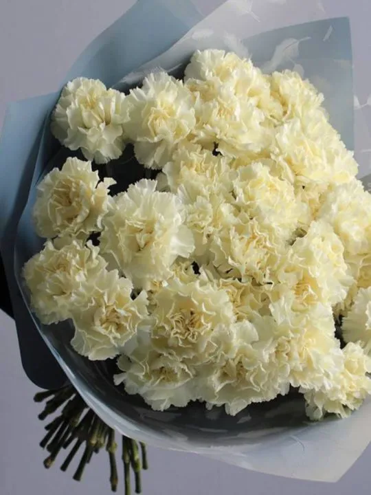 Букет Спящая красавица