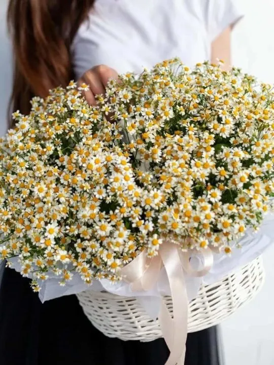 Композиция Татьяна