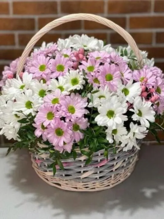 Композиция Фариза