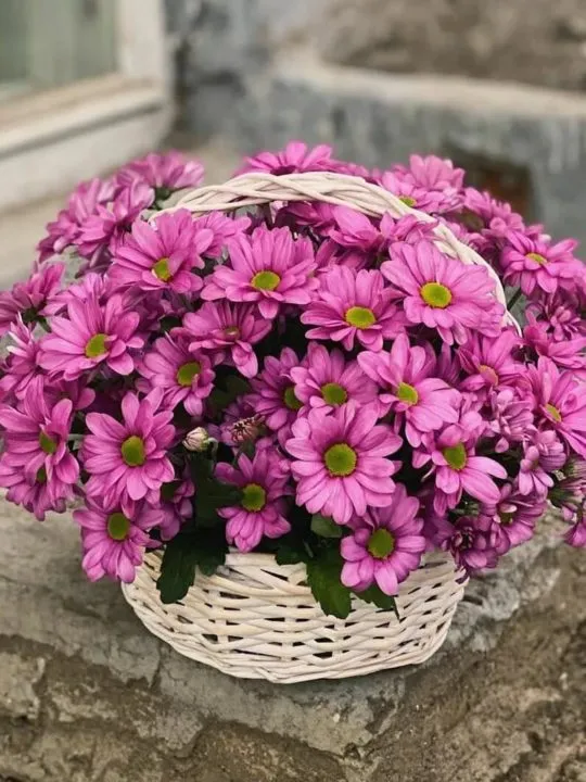 Композиция Фируза