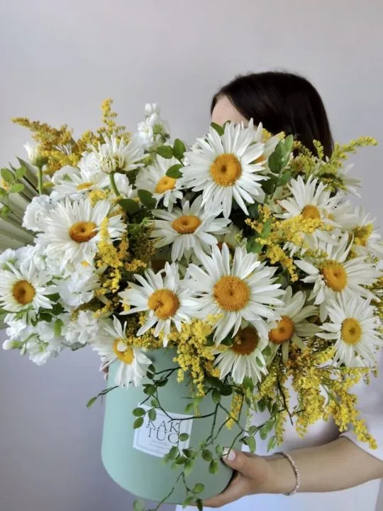 Композиция Юлия