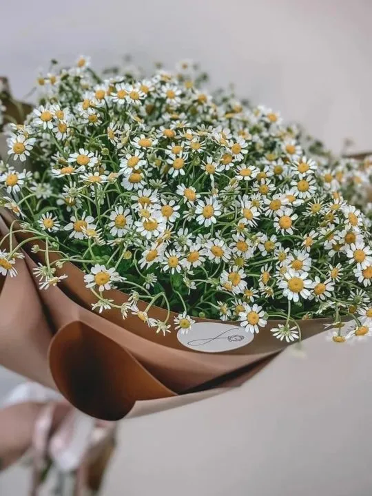 Букет Моя стихия