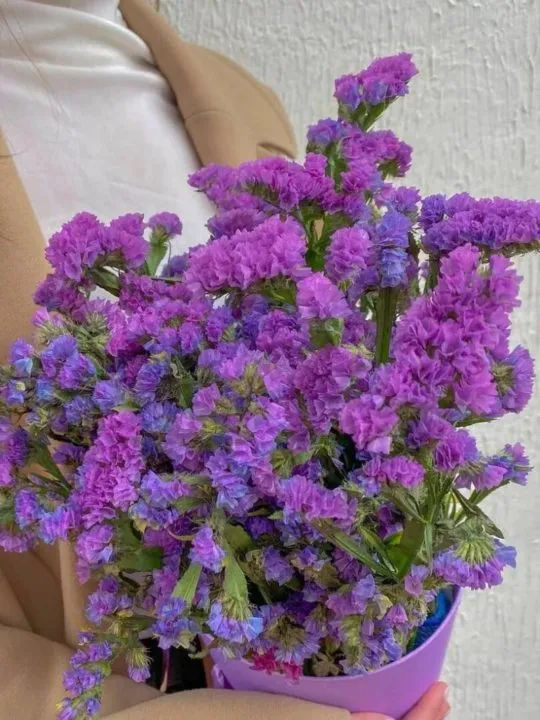 Букет Моя прекрасная леди