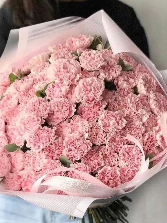 Букет из розовых диантусов