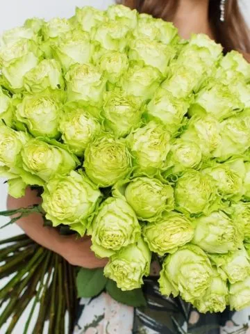 Фарфоровая гайвань «Зеленые цветы» 125 мл