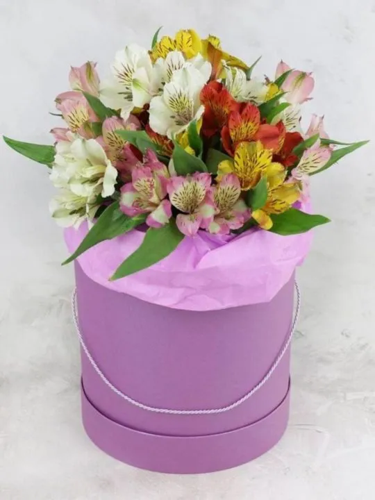 Композиция Наша осень