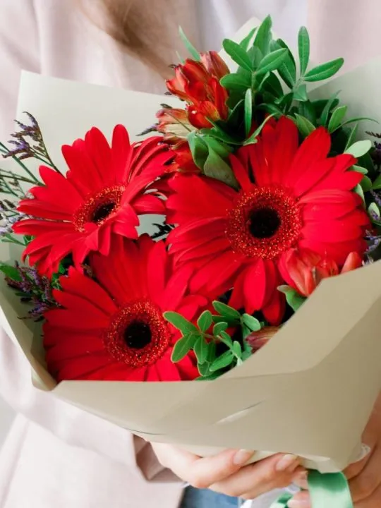 Букет Красные герберы